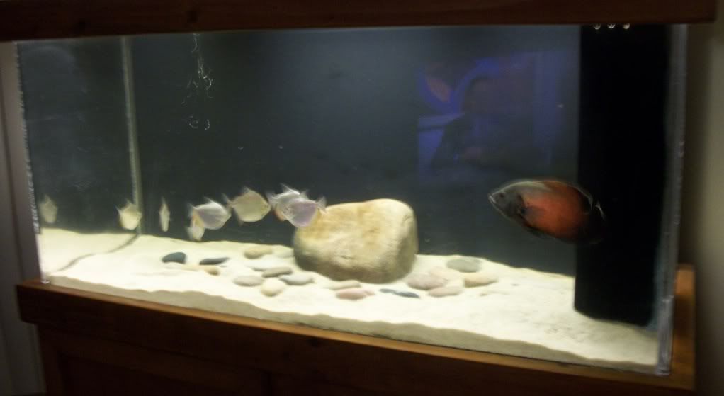 125gRemovedDecor.jpg