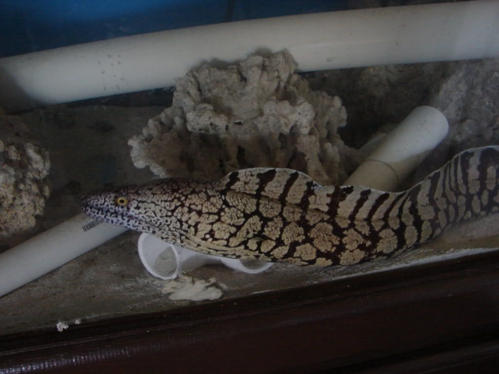 DSC02107.jpg