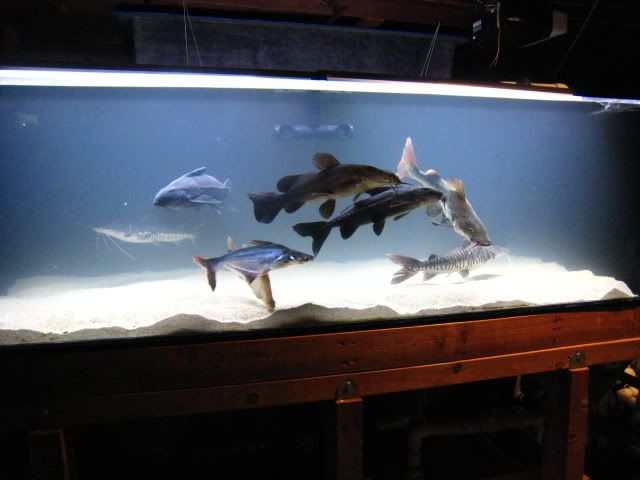 IMG_6913.jpg