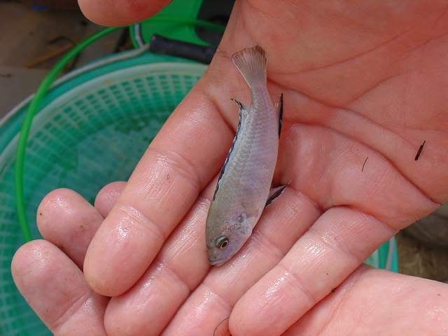 DSC06324.jpg