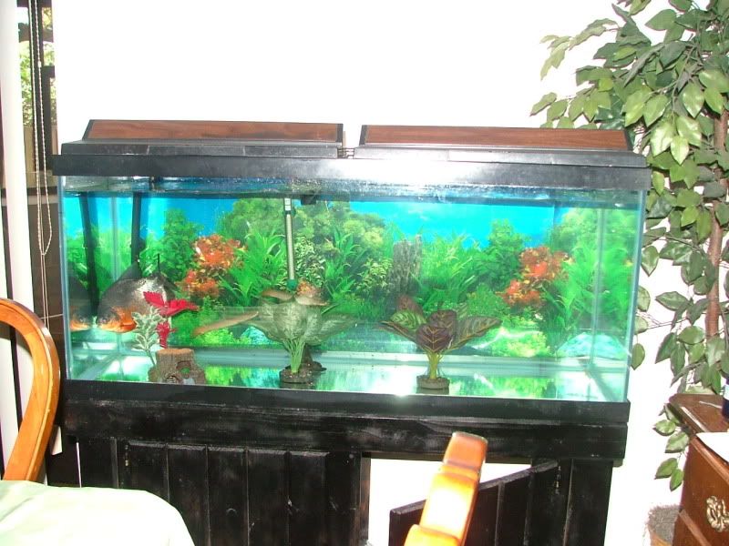 DSCF1919.jpg