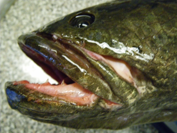 20090421134139.jpg