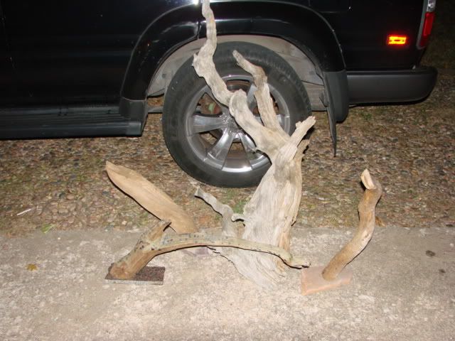DSC03130.jpg