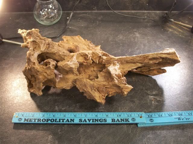 driftwood1.jpg