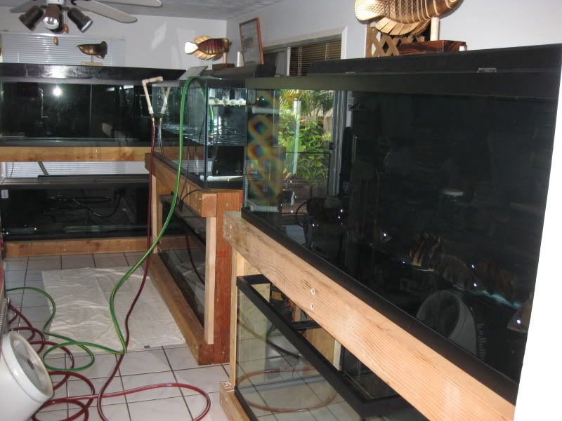 6-6-09003.jpg