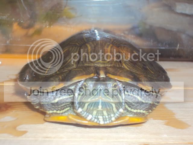 DSC00274.jpg