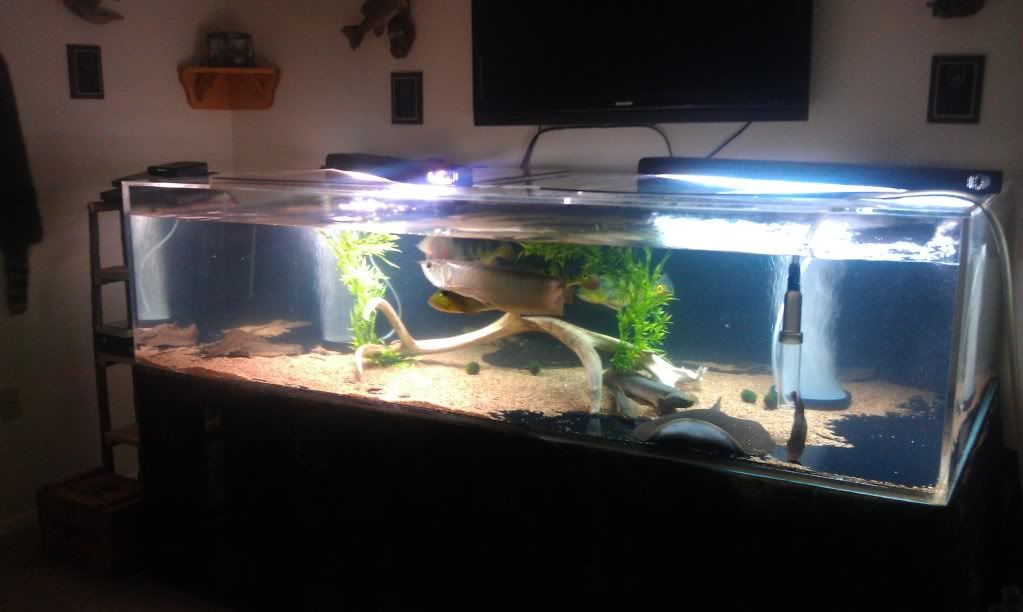 IMAG0036.jpg