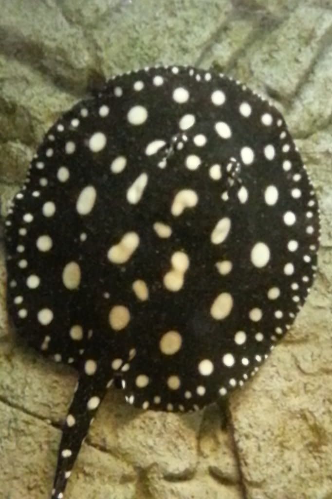 20120818_131427.jpg