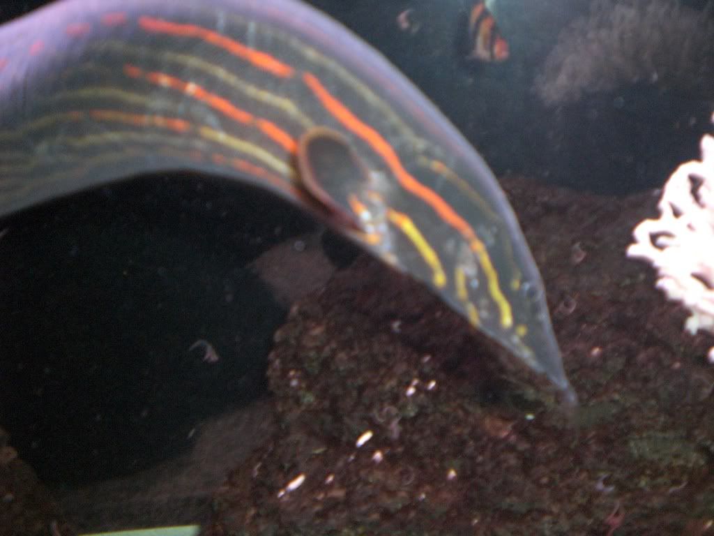 PICT0015.jpg