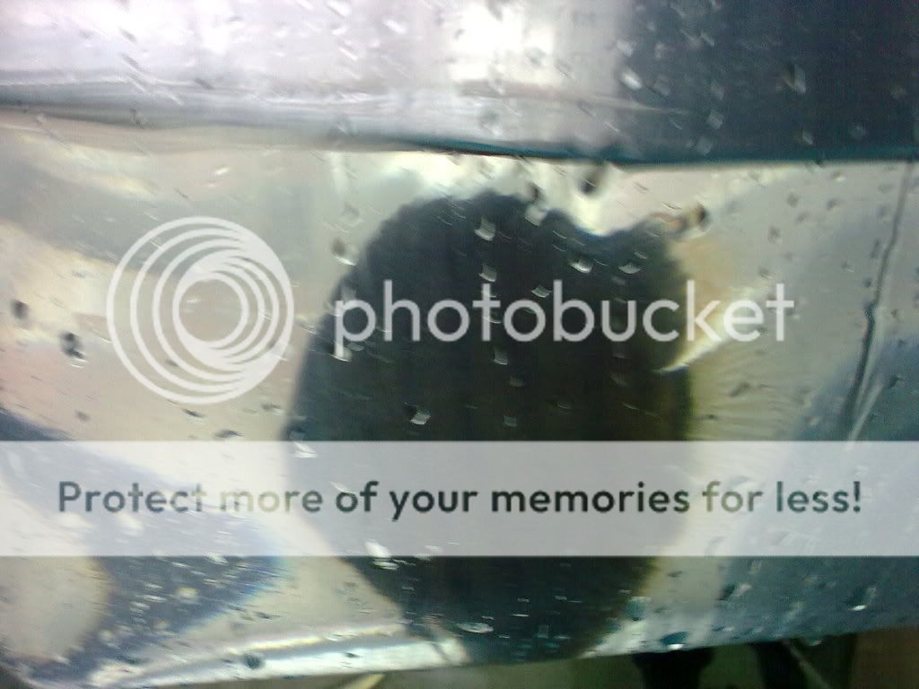 28052009105.jpg