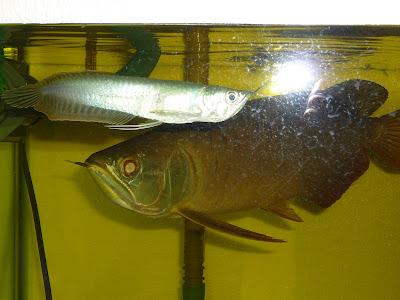 P1010087.JPG