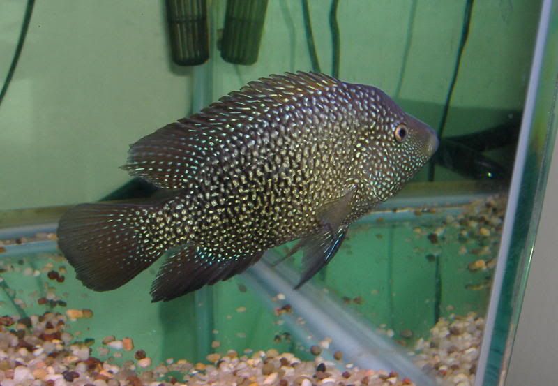 DSCF1283.jpg