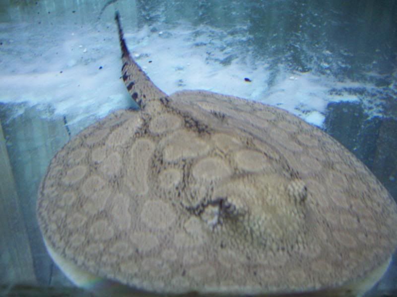100_2897.jpg