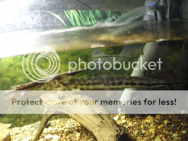 IMGP0157.jpg