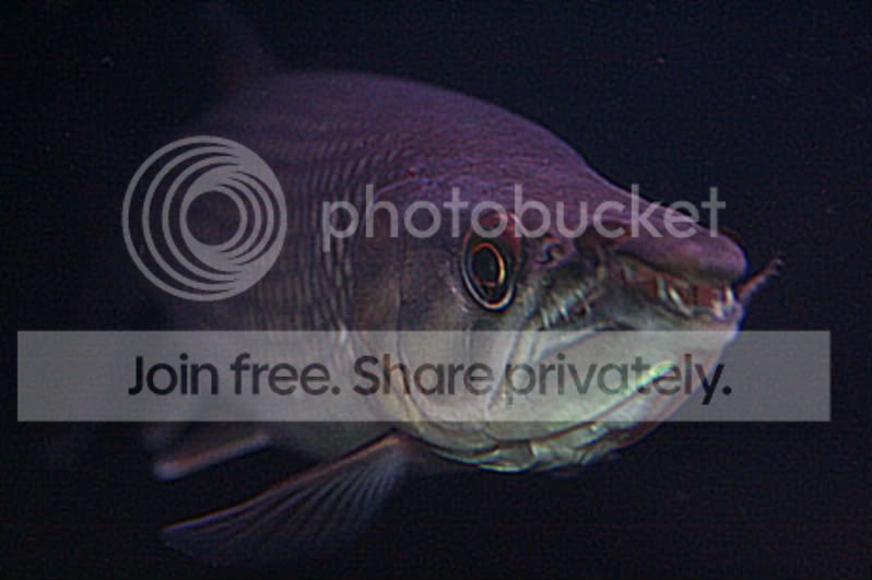 IMG_4973.jpg