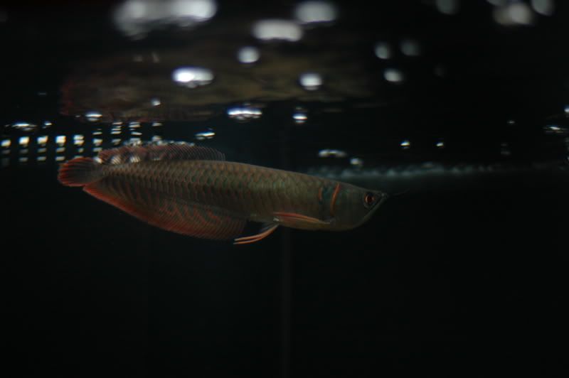 DSC_0755.jpg