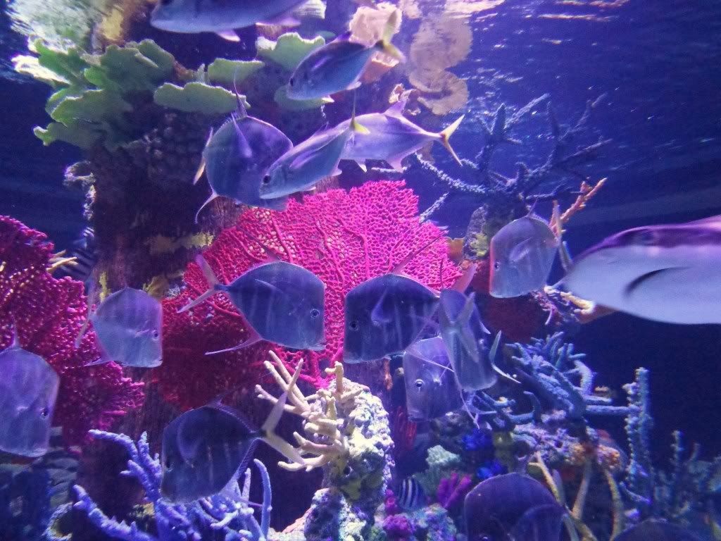DSC01465.jpg