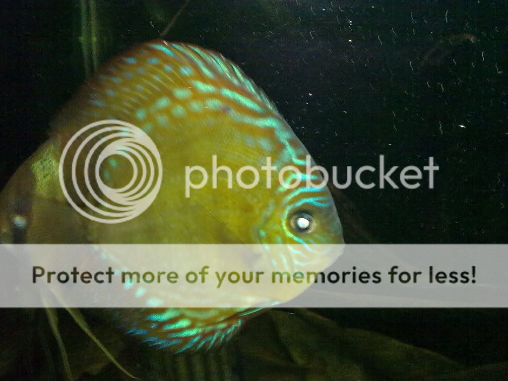 11062009221.jpg