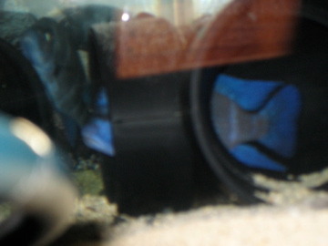 m150587918.jpg