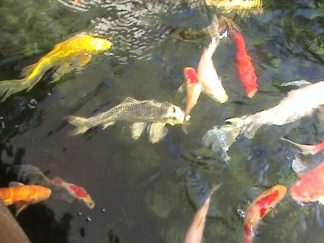 DSC02635.jpg