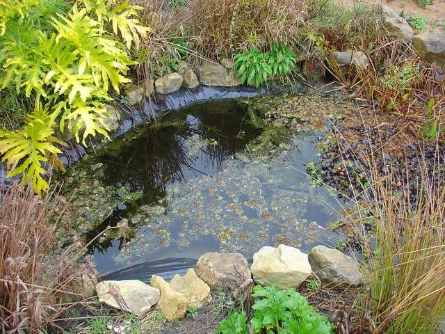 DSC05731.jpg