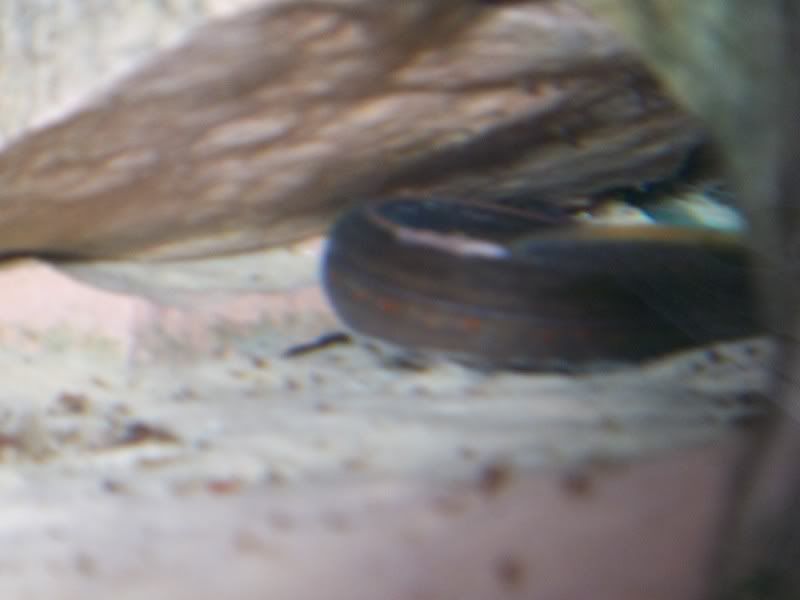 5-19-09296.jpg