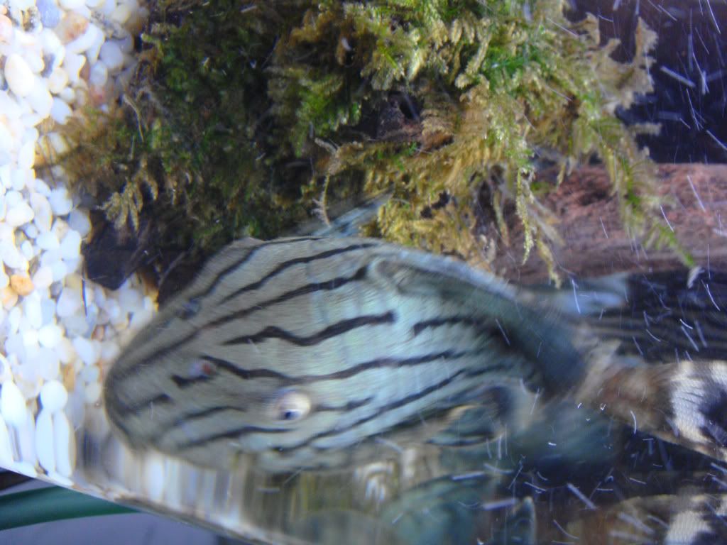 DSC01683.jpg