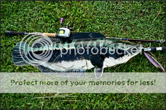 IMG_1612.png