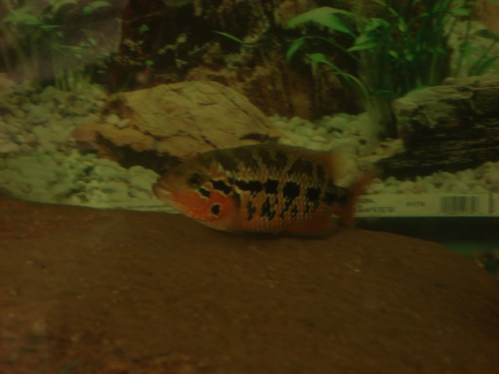 DSC01615.jpg
