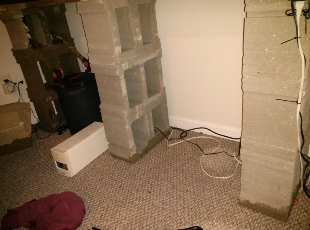 CAM00426_zps340c8dc7.jpg