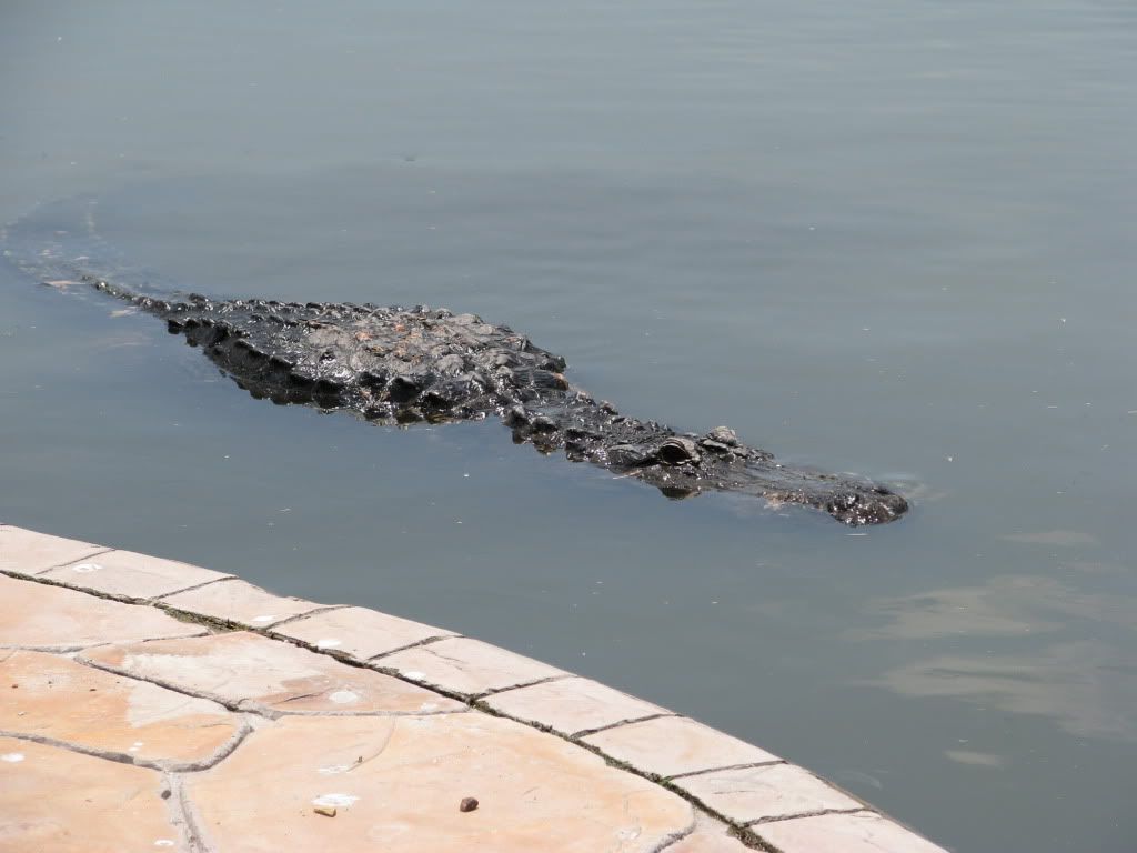 IMG_0757.jpg