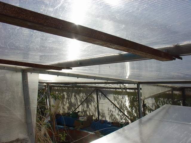 DSC04726.jpg