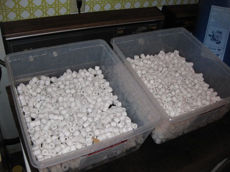 3-25-09006.jpg