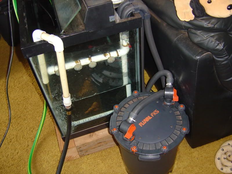 2-15-08015.jpg