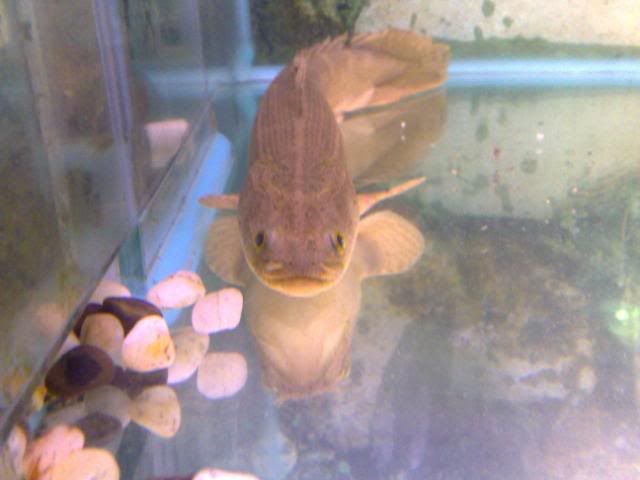 16102007356.jpg
