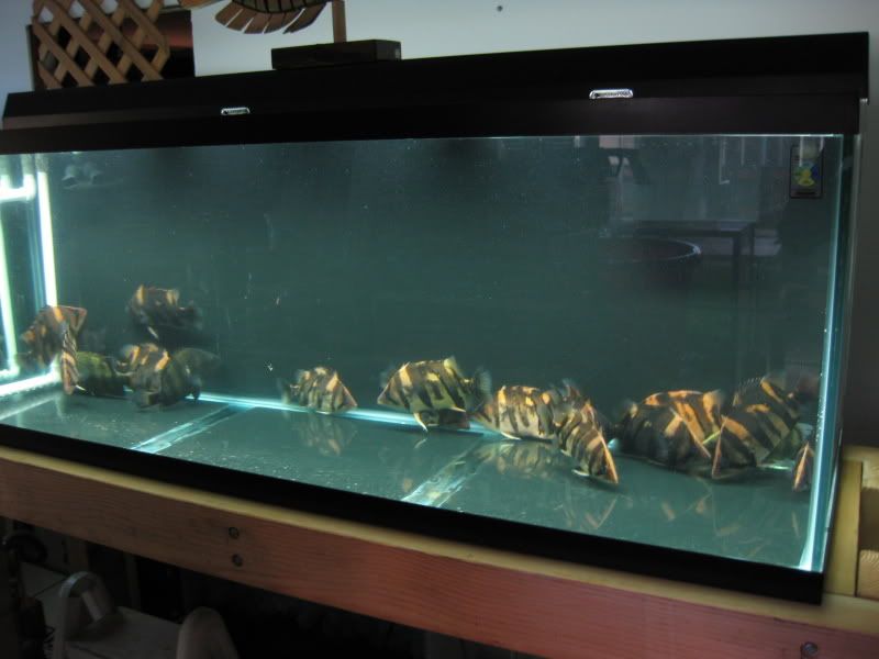 4-19-09007.jpg