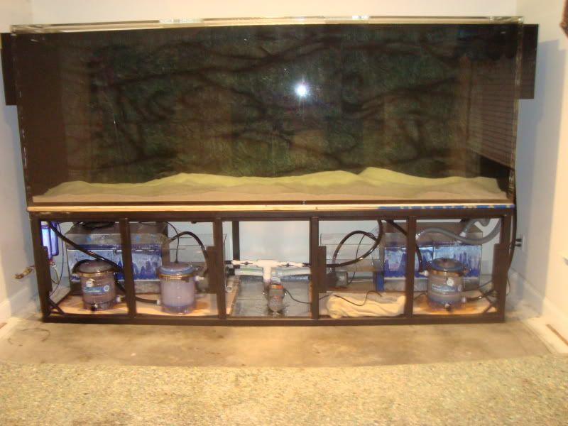 013-1.jpg