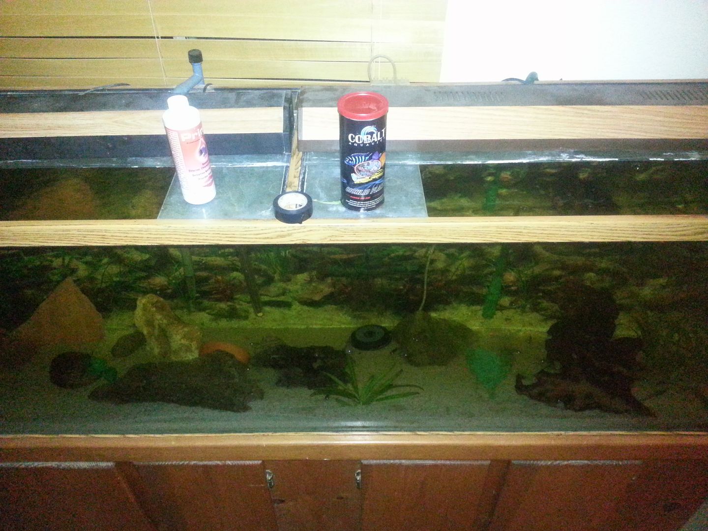 20130412_040527.jpg