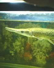 IMG0118A.jpg