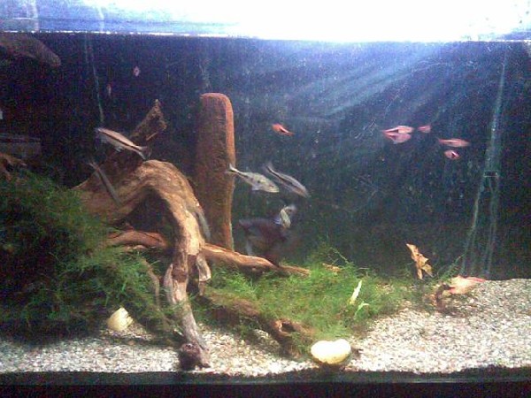 4005Image013-med.jpg