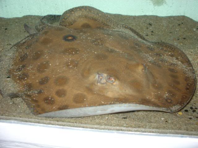 DSC08405.jpg