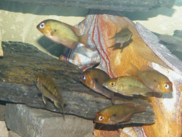 0904180046.jpg