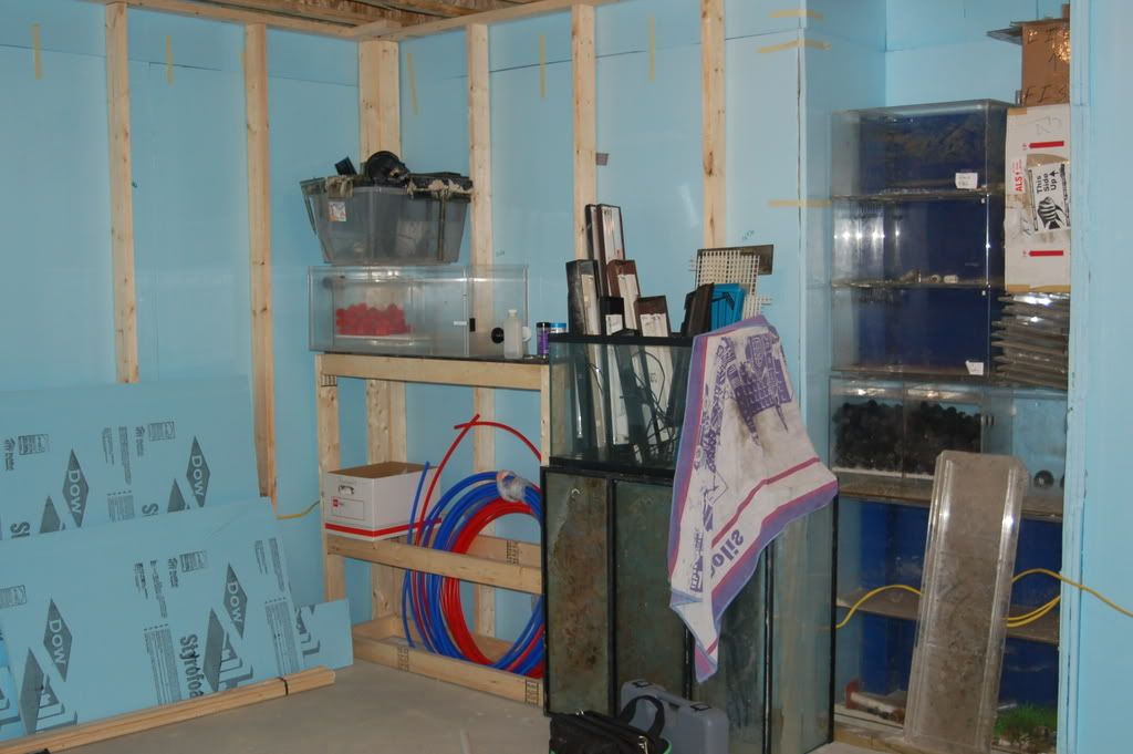DSC_0457.jpg