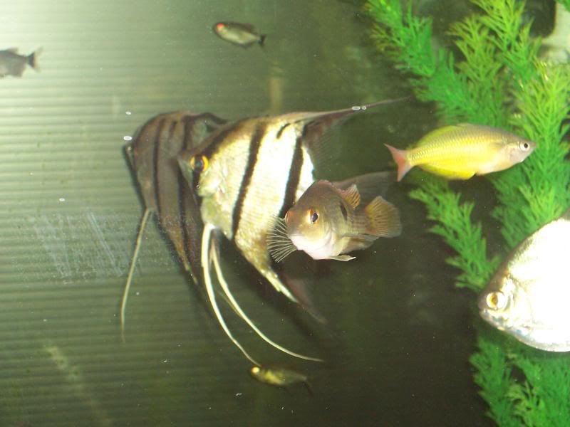 100_6023.jpg