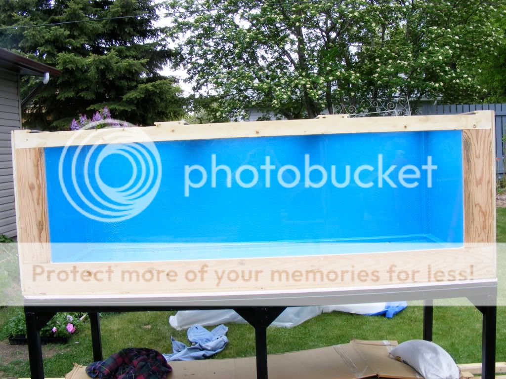 DSCF2390.jpg