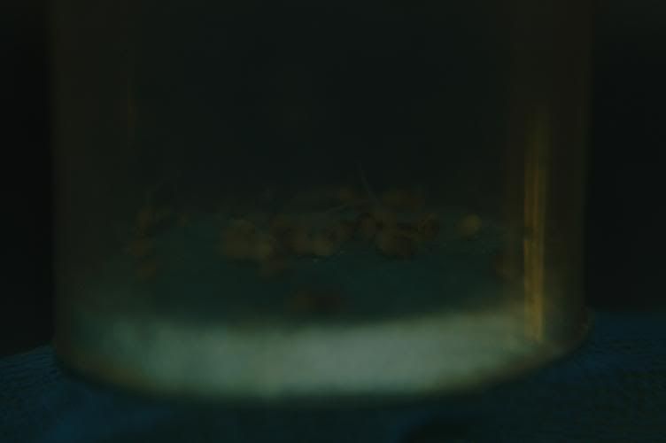 W2.jpg