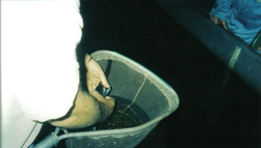 oneidapaddle.jpg