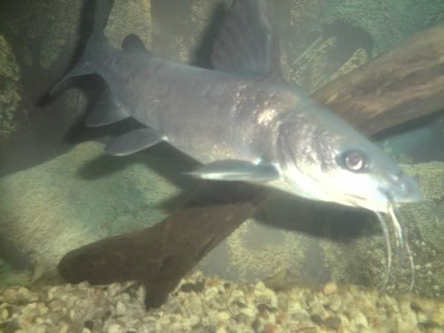 P200310_1508.jpg