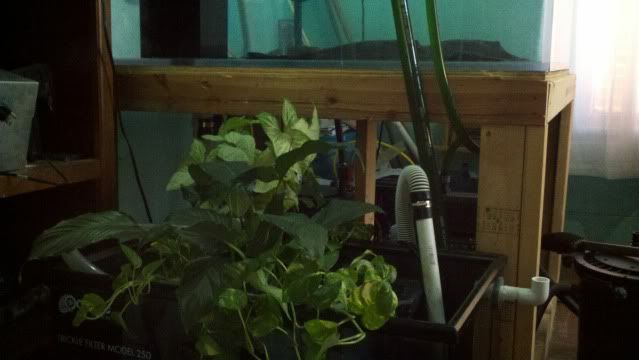 2011-10-15_13-20-50_937.jpg