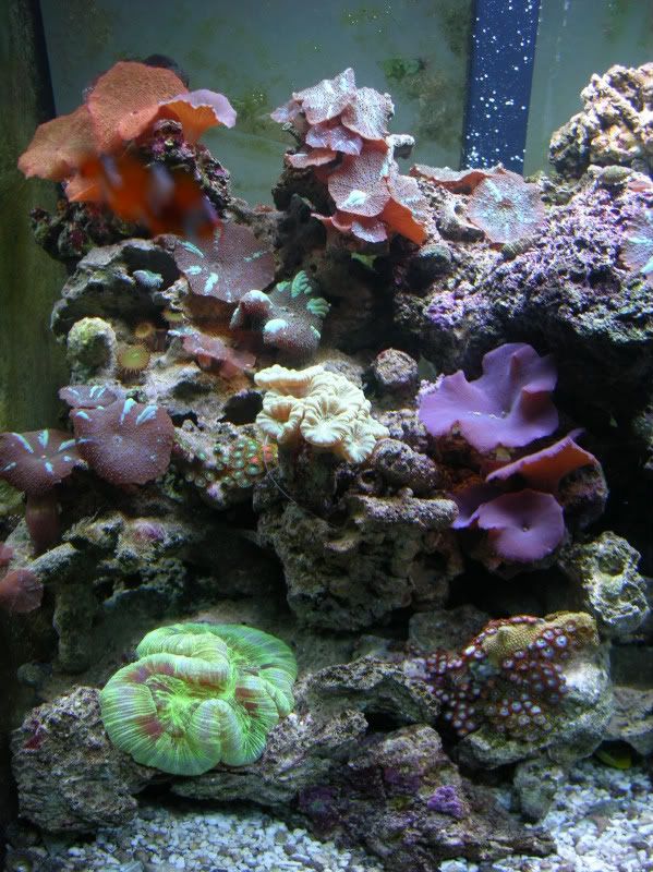 DSCN7124.jpg